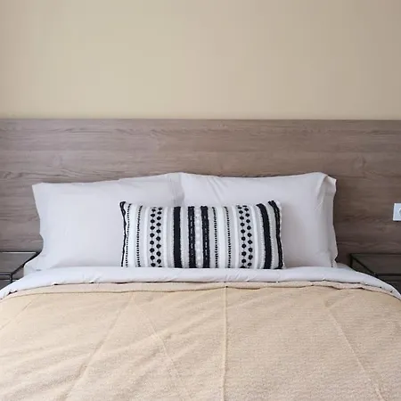 Lejlighed Mint Levent Olive